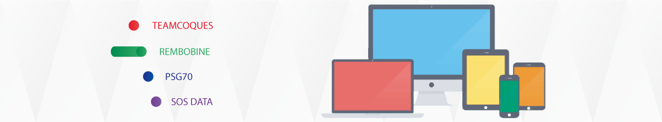 Thomas BRUNEL Webmaster - REMBOBINE