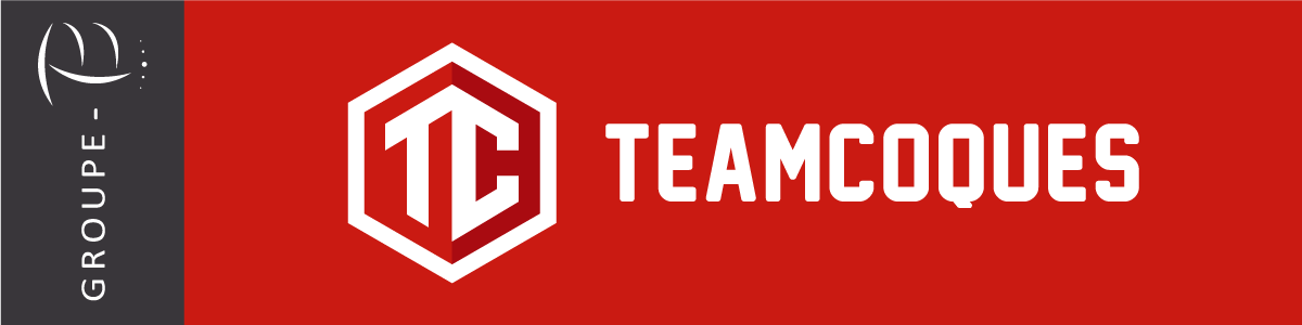 Thomas BRUNEL Webmaster - Groupe-TB - TEAMCOQUES