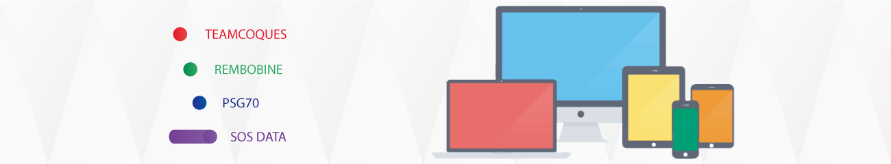 Thomas BRUNEL Webmaster - SOS Data